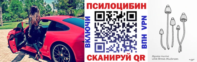 Галлюциногенные грибы Magic Shrooms Озёрск